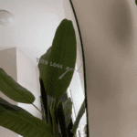 pilatesmamii Reformer Pilates Krefeld